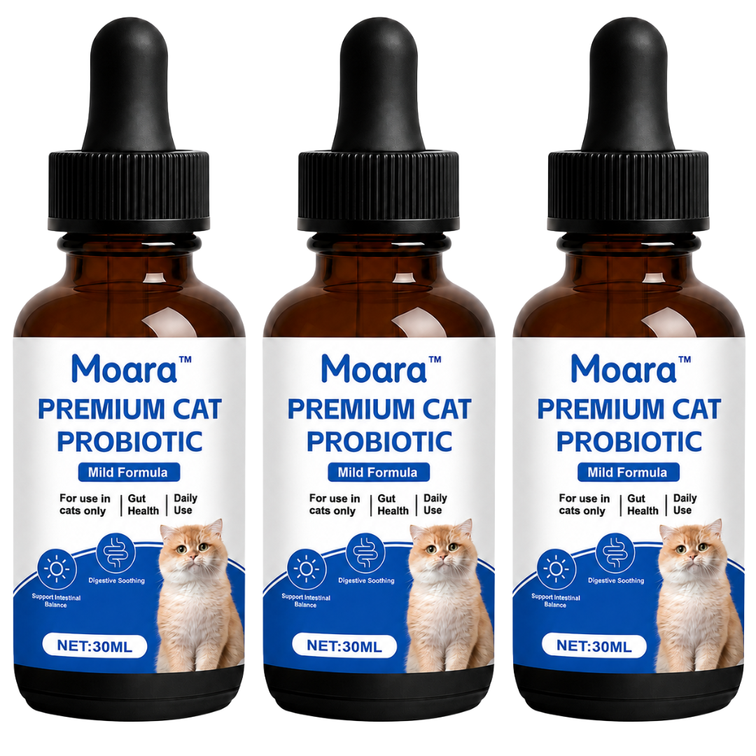 Moara™ Advanced Probiotic for Cats